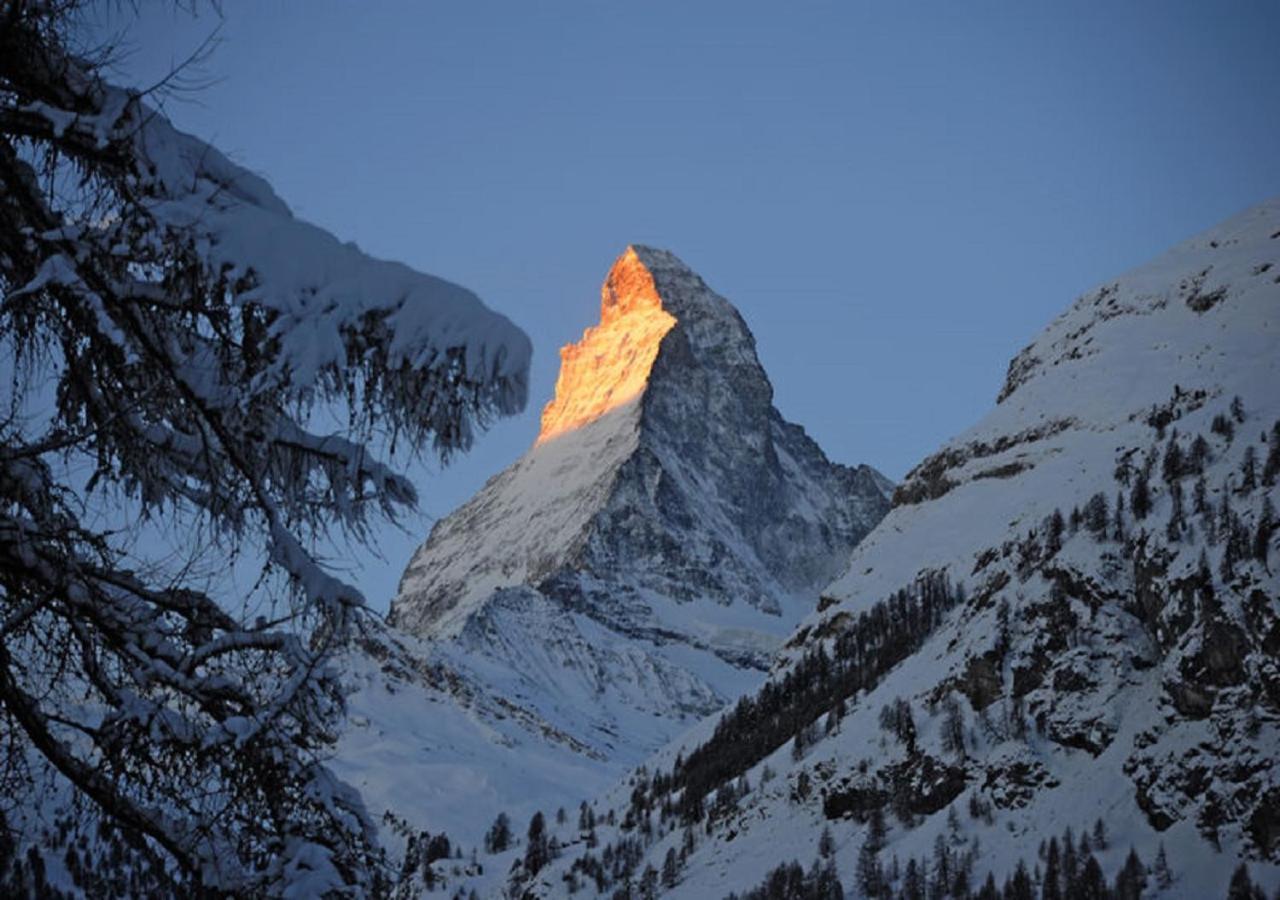 Apartment Brunnmatt Zermatt Exteriér fotografie